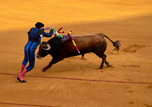 ANDALUSIA SPAIN. Bullfight in Seville Arena