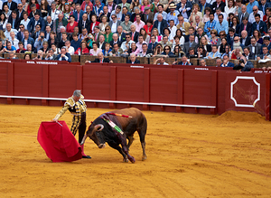 ANDALUSIA SPAIN. Bullfight in Seville Arena