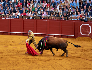 ANDALUSIA SPAIN. Bullfight in Seville Arena