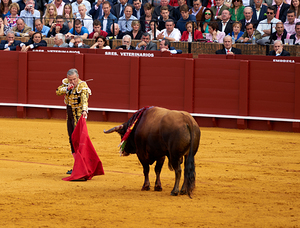 ANDALUSIA SPAIN. Bullfight in Seville Arena