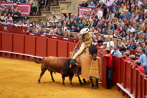 ANDALUSIA SPAIN. Bullfight in Seville Arena