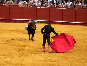 ANDALUSIA SPAIN. Bullfight in Seville Arena