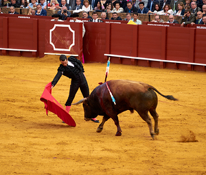 ANDALUSIA SPAIN. Bullfight in Seville Arena