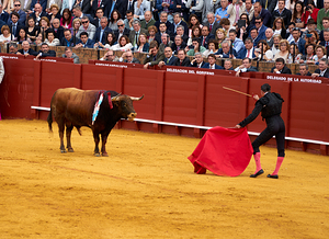 ANDALUSIA SPAIN. Bullfight in Seville Arena