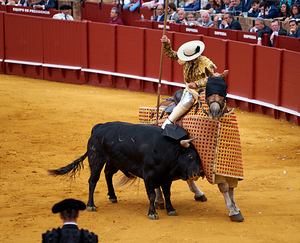 ANDALUSIA SPAIN. Bullfight in Seville Arena