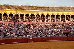 ANDALUSIA SPAIN. Bullfight in Seville Arena