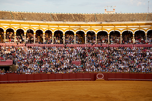 ANDALUSIA SPAIN. Bullfight in Seville Arena