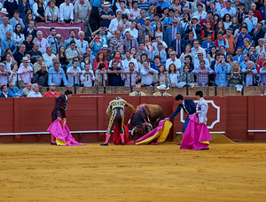 ANDALUSIA SPAIN. Bullfight in Seville Arena