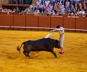 ANDALUSIA SPAIN. Bullfight in Seville Arena