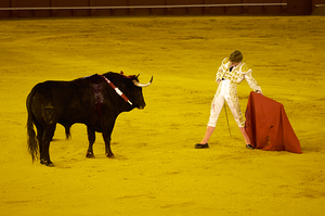 ANDALUSIA SPAIN. Bullfight in Seville Arena