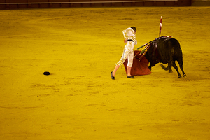ANDALUSIA SPAIN. Bullfight in Seville Arena