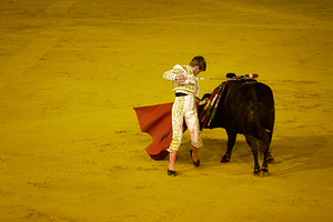 ANDALUSIA SPAIN. Bullfight in Seville Arena