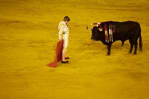 ANDALUSIA SPAIN. Bullfight in Seville Arena