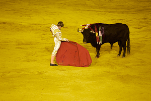 ANDALUSIA SPAIN. Bullfight in Seville Arena