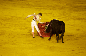 ANDALUSIA SPAIN. Bullfight in Seville Arena