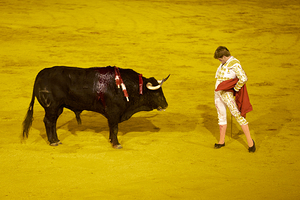 ANDALUSIA SPAIN. Bullfight in Seville Arena