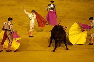 ANDALUSIA SPAIN. Bullfight in Seville Arena