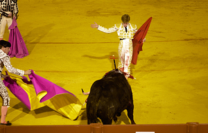 ANDALUSIA SPAIN. Bullfight in Seville Arena