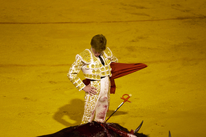 ANDALUSIA SPAIN. Bullfight in Seville Arena