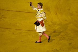 ANDALUSIA SPAIN. Bullfight in Seville Arena