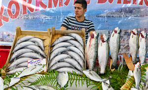 Istanbul Turkey. Fresh fish at the Street Market in Fatih District