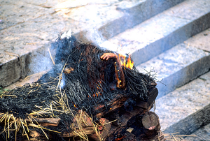 Nepal. Kathmandu. Cremation in Pashupatinath
