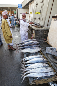Oman. Muscat. The Fish Market