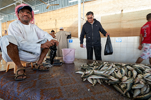 Oman. Muscat. The Fish Market