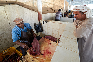 Oman. Muscat. The Fish Market