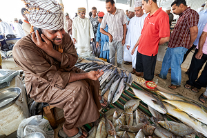 Oman. Muscat. The Fish Market
