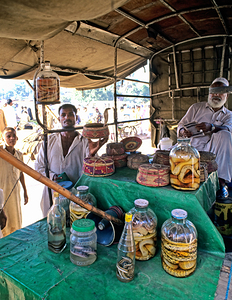 Pakistan. Selling snakes in the street market of Lahore