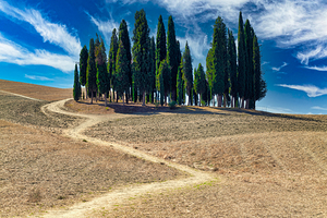 San Quirico dOrcia Val dOrcia Tuscany Italy. The typical cypresses trees