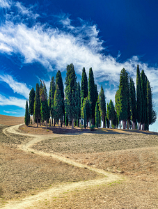San Quirico dOrcia Val dOrcia Tuscany Italy. The typical cypresses trees