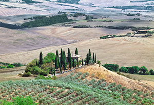 San Quirico dOrcia. Typical landscape of Val dOrcia Tuscany Italy with cypresses and olive groves