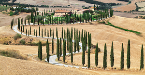 Typical landscape of Val dOrcia Tuscany Italy with S-shape cypresses