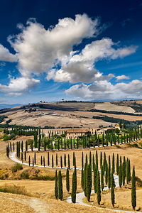Typical landscape of Val dOrcia Tuscany Italy with S-shape cypresses