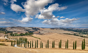 Typical landscape of Val dOrcia Tuscany Italy with S-shape cypresses