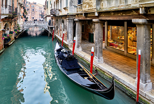 Venice Italy. The Carnival