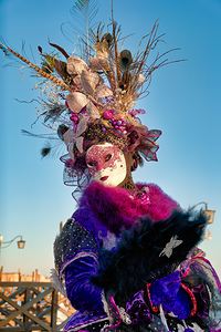 Venice Italy. The Carnival