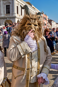 Venice Italy. The Carnival