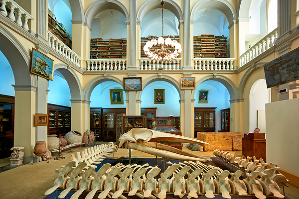 Salento. Apulia Puglia Italy. Gallipoli. Civic Museum Emanuele Barba Print