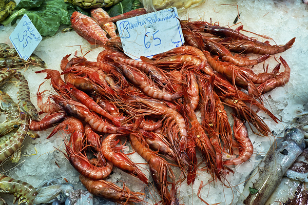 Barcelona. Catalonia. Spain. The Mercat de Sant Josep de la Boqueria. Fishmonger Print