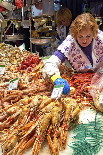 Barcelona. Catalonia. Spain. The Mercat de Sant Josep de la Boqueria. Tiger Prawns at fishmonger stall Print