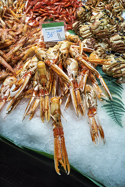 Barcelona. Catalonia. Spain. The Mercat de Sant Josep de la Boqueria. Tiger Prawns at fishmonger stall Print