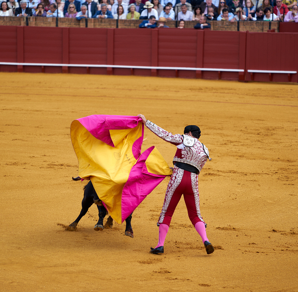 ANDALUSIA SPAIN. Bullfight in Seville Arena Print