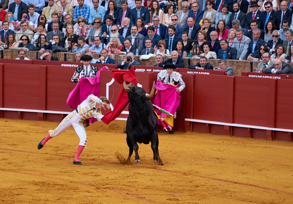 ANDALUSIA SPAIN. Bullfight in Seville Arena Print