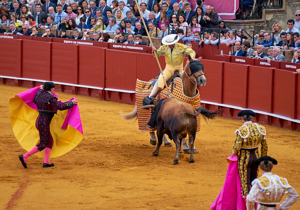 ANDALUSIA SPAIN. Bullfight in Seville Arena Print