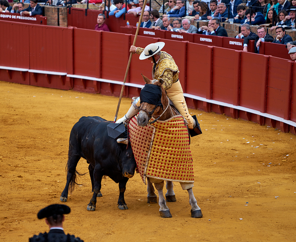ANDALUSIA SPAIN. Bullfight in Seville Arena Print