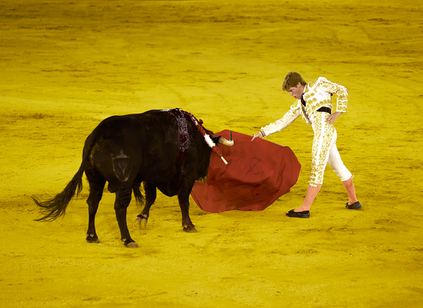 ANDALUSIA SPAIN. Bullfight in Seville Arena Print