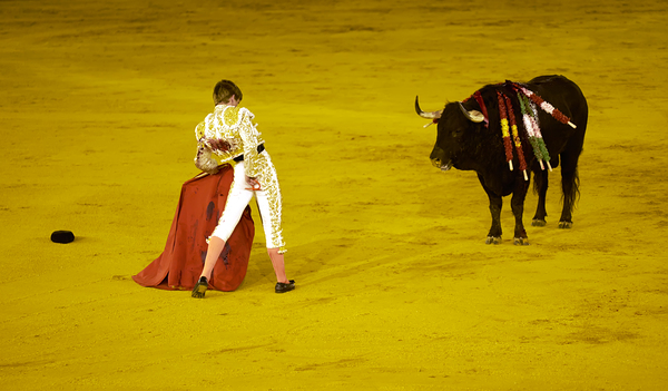 ANDALUSIA SPAIN. Bullfight in Seville Arena Print